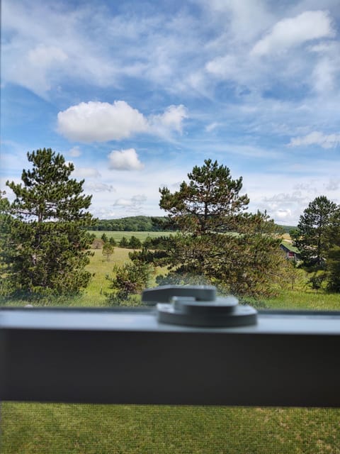 bedroom 1 - second floor east bedroom view
