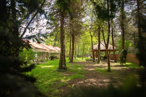 Enjoy the garden in front of your room