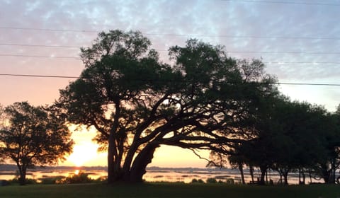 Sunrise from the living room. 