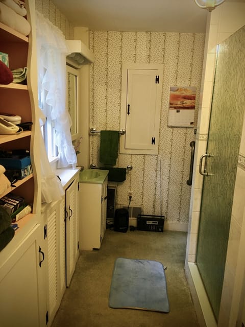 Master bathroom with accessible shower.