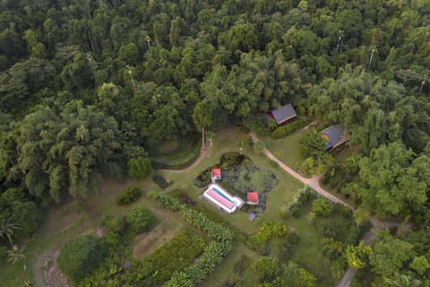 Lillypads Yellow Cottage - Birds eye view of the property