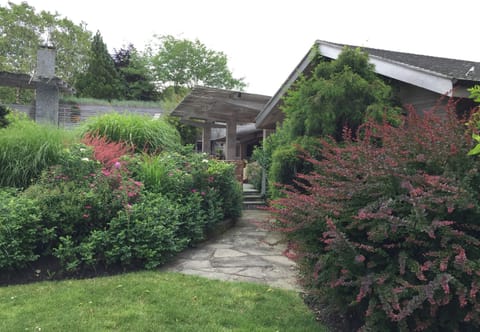 Designer Home surrounded by Beautiful Lush Gardens and Spectacular Pool Area