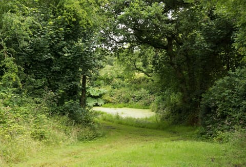 Take a walk through the private woodland, you may spot the local red deer, otters and a wide variety of birds.