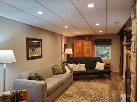 lower level living area 