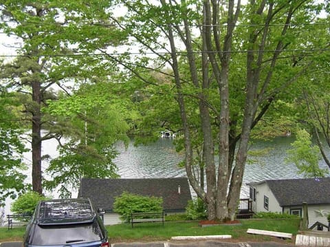 View from the back porch