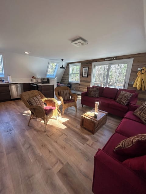 Open living space - living room and kitchen