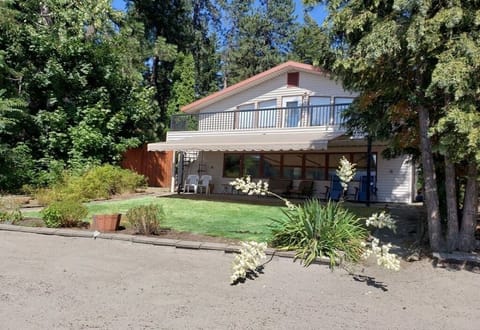 Morning time, shady on the patio.