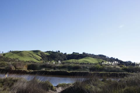 Tranquil views of the Ramarama Stream and hills from the property.