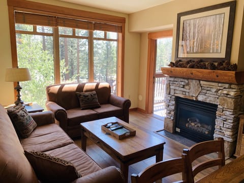 Living room with pull out sofa and cozy gas fireplace 