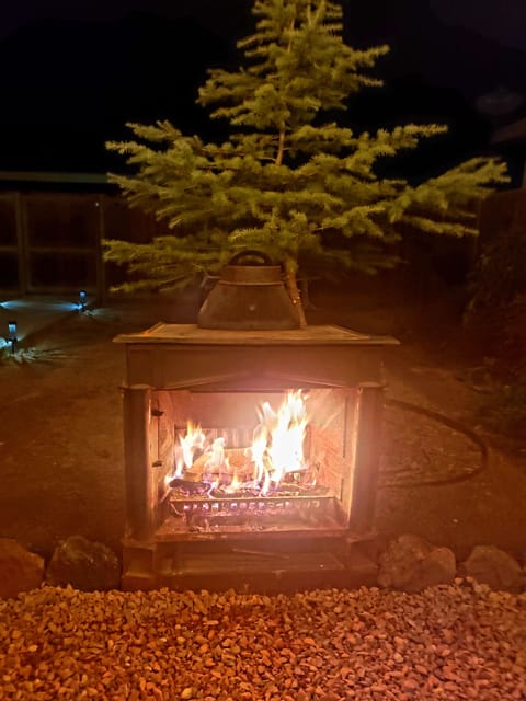 Outdoor fireplace - backyard