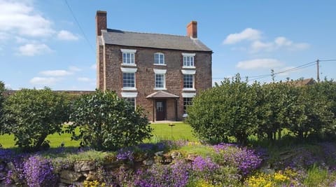 House View
