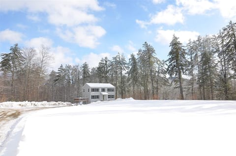 Front of the house in winter