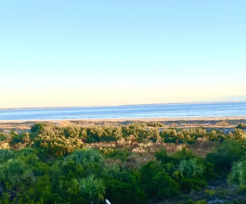 View from Balcony overlooking the Atlantic Ocean!