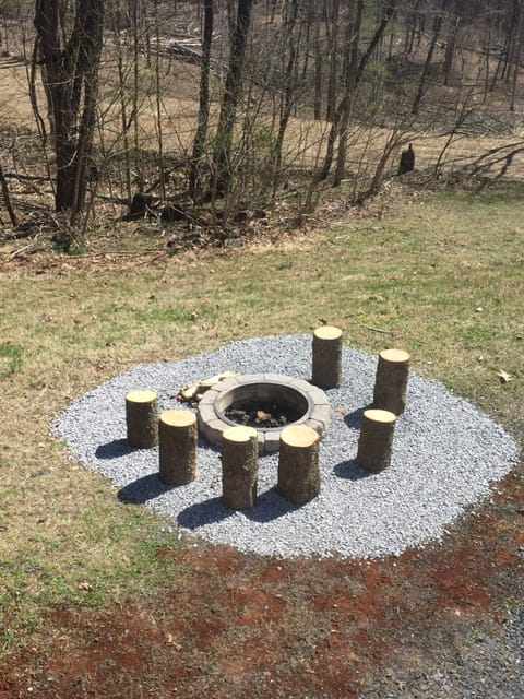 Fire pit with stump seating.
