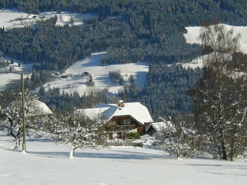 Bio - Appartements Bischof, Familie Wind - Appartement 1 Apartment in Carinthia, Austria