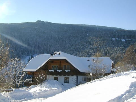 Bio - Appartements Bischof, Familie Wind - Appartement 1 Apartment in Carinthia, Austria