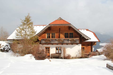 Bio - Appartements Bischof, Familie Wind - Appartement 1 Apartment in Carinthia, Austria