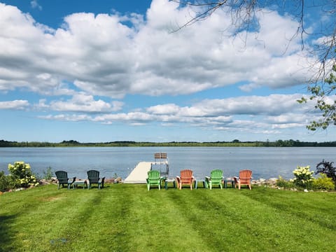 View from cellar walk out door.