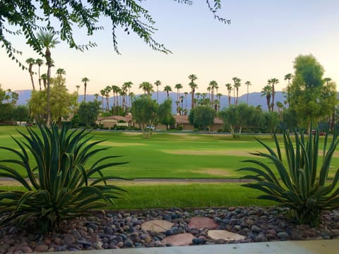 Mountain view from patio