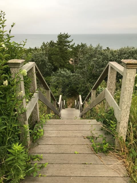 Stairway down thru the bluff to the beach below
