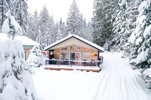 Mountain Cabin in the Snow!