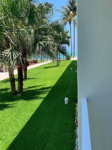 View from Private Patio