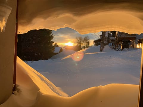 Morning, view  from the living room