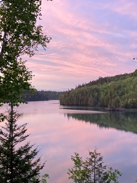 View from the deck 