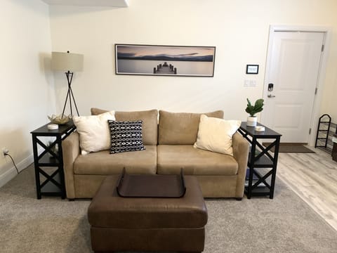 Queen sized sofa sleeper