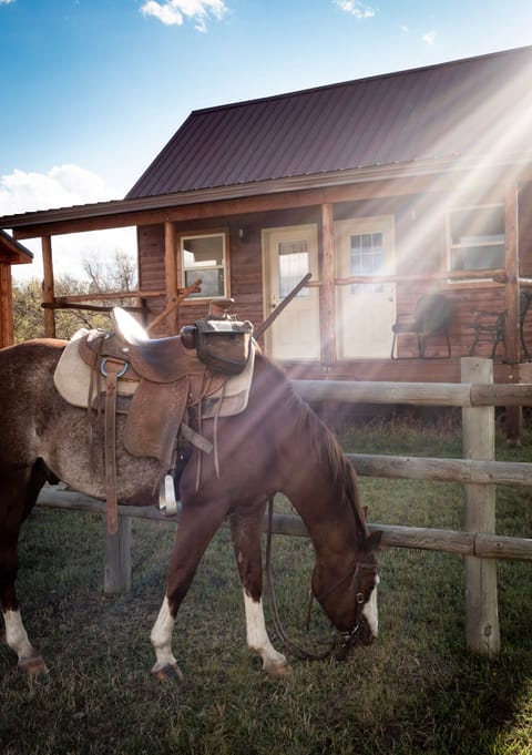 Room is the door on the left. 