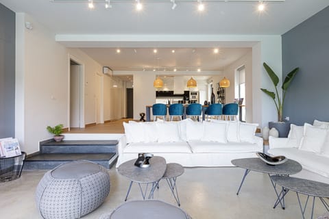 Open plan space featuring a living area, kitchen and indoor dining table.