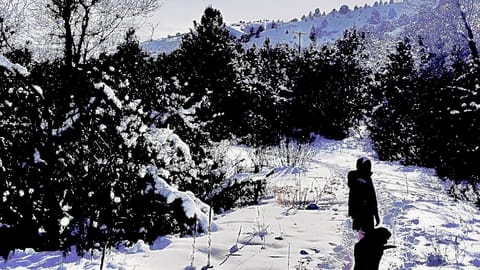 Walking now shoe trail 15 minutes away