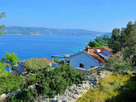 Water, Sky, Cloud, Water Resources, Azure, Tree, Natural Landscape, Beach, Coastal And Oceanic Landforms, Plant