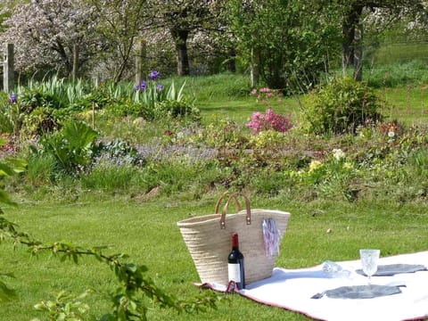 Garden. private garden