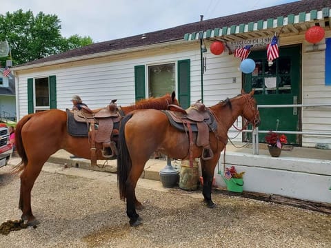 country lodging Lodge in Illinois
