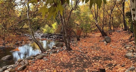 Fairy Stream (Nov 2020)