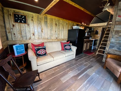 Couch is a Hide-a-bed