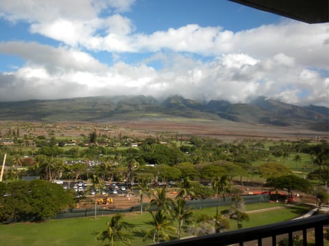 Example of our Island View with Golf right across the drive in.