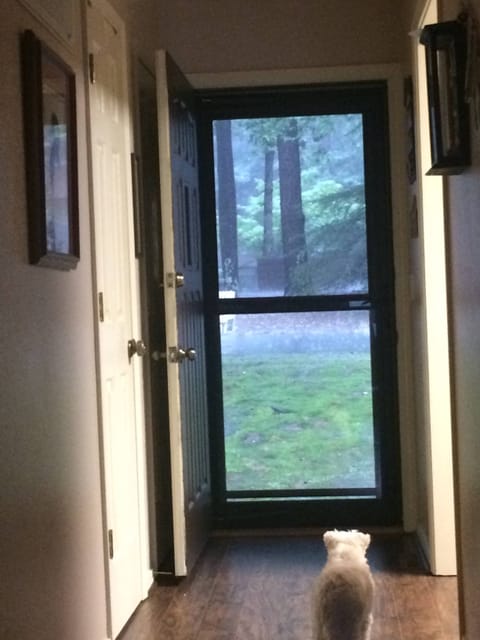 Fur babies welcomed! (This was my girl Buttercup) RIP