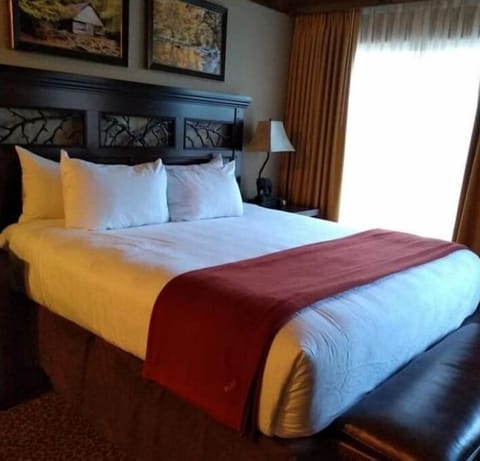 There are two queen size beds in the one bedroom & Sofa Sleeper in Living Room