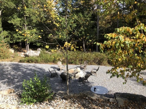 Large area for fire pit, corn hole and group gatherings.