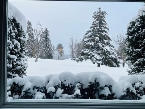 View of the lodge, ski hill from the living room area!