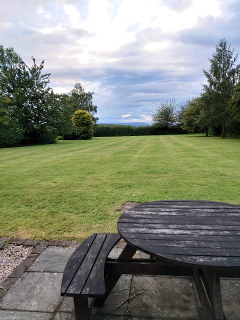 View from downstairs