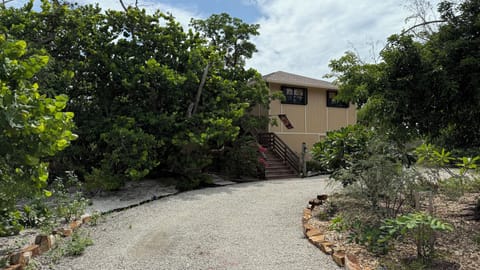 Welcome to Kahiki Tiki!

