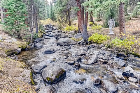 Monte Cristo Creek in your back yard with private Meditation / Reflection area