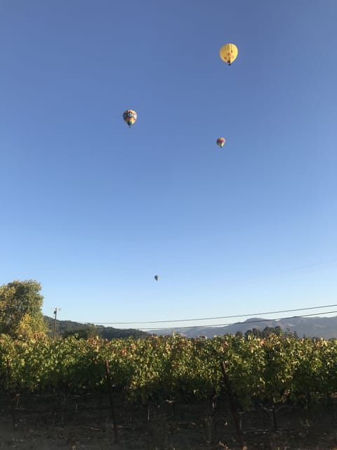 Watch hot air balloons with a cup of morning coffee