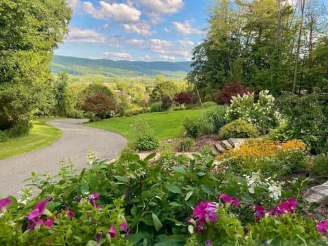 Beautiful mountain views