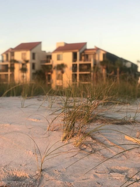 Beach Front