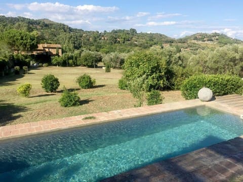 Pool amidst the Olive Treese o