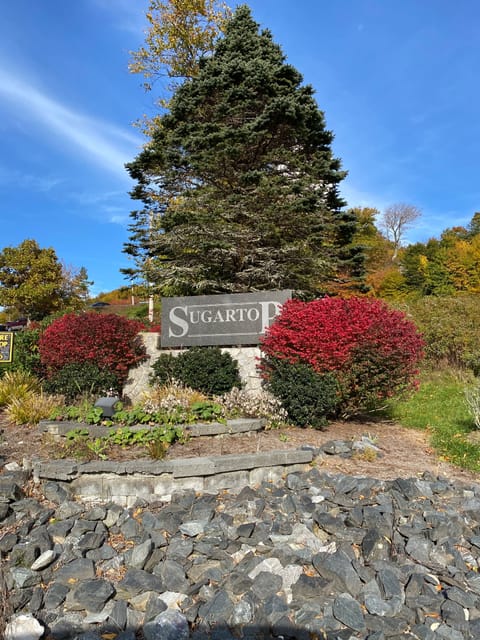 Grandfather Glory at Sugar Top Resort